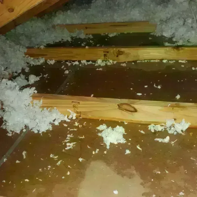 Attic Water Damage in East Los Angeles, CA