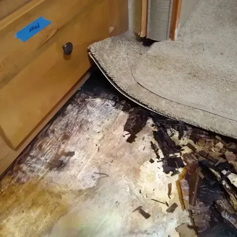 Best Wood Floor Water Damage Service in East Los Angeles, CA